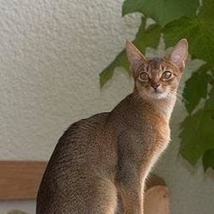 Meet your Posher, Lorraine